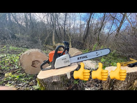 Видео: Пилим дрова в лесу на болоте Бензопила Штиль 180 ( Хускварна  240 опять подвела 😕👎)