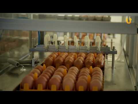 Видео: Реальная наука #19. Иммунопрепарат: как производят вакцины от гриппа