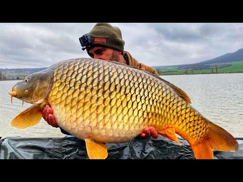 Видео: яз. Бозвелийско 18.12.2020г.