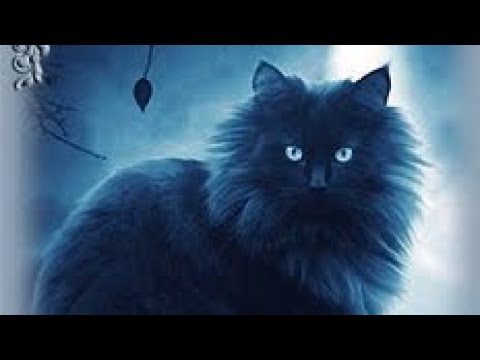 Видео: Структура Оракула Дыхание Ночи