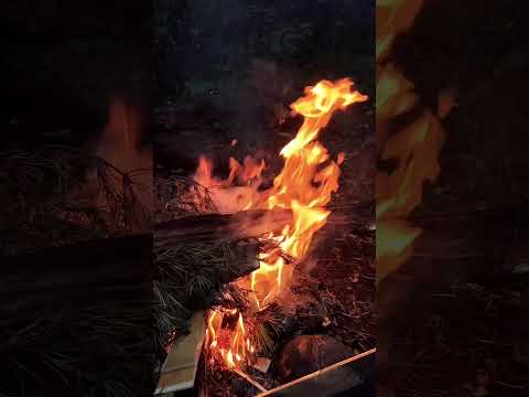 Видео: Встреча с Дерзким Че. И поход к синему камню.