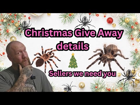 Видео: ПОДРОБНОСТИ РОЖДЕСТВЕНСКОГО РОЗЫГРЫША