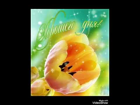 Видео: Ялган назлар