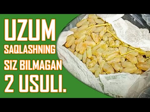 Видео: Узум сақлашнинг сиз билмаган 2 усули. | Uzum saqlashning siz bilmagan 2 usuli.