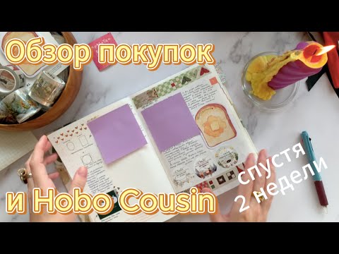 Видео: Обзор новогодних и других покупок | Hobonichi Cousin 2 недели спустя