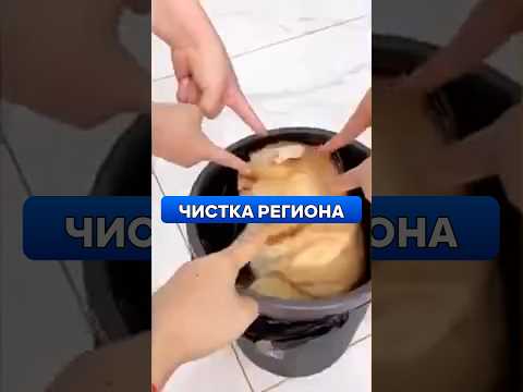 Видео: РЕГИОН НА 100%? Вот ЧТО я почувствовала! 💎 #Гайды #Прохождение