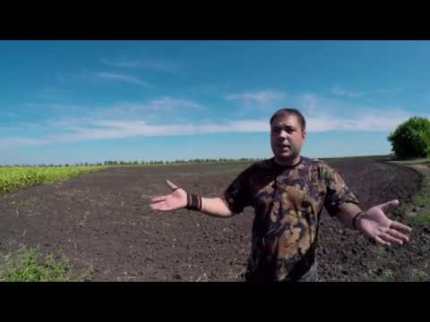 Видео: Про Чеснок 2017: как и почему решил заниматься чесноком.