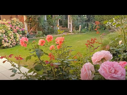 Видео: Купили страшненькую б/у мебель. Для чего???