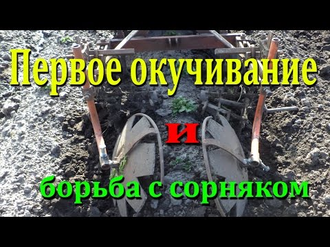 Видео: Окучивание картофеля Самодельным культиватором