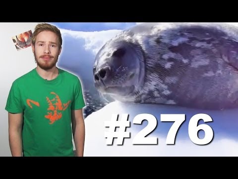 Видео: This is Хорошо - Морозная свежесть. *S*