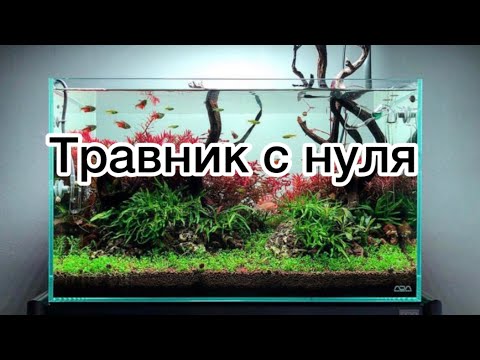 Видео: Травник с нуля. Посадка растений в травник. Травник