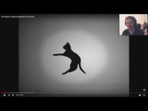 Видео: Рекви смотрит на иллюзию женщины