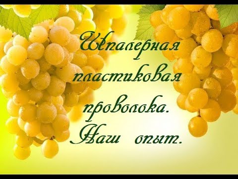 Видео: Шпалерная пластиковая проволока. Наш опыт.