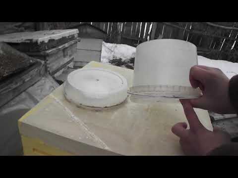 Видео: Информация для опытных пчеловодов: хитрая кормушка для пчел за копейки