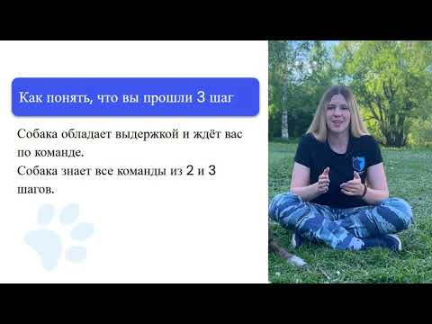 Видео: ПОШАГОВАЯ СИСТЕМА, как легко сделать собаку управляемой и послушной за 30 дней