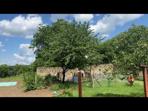 Видео: Фермерские рынки в Болгарии. Неприятная и непонятная ситуация и как себя вести в таком случае?