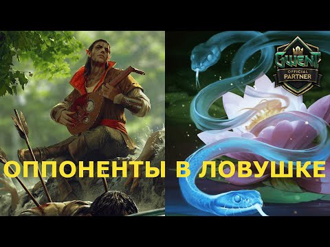 Видео: ГВИНТ. СУМАШЕДШАЯ КОЛОДА ЛОВУШЕК. БЕЛКИ, СКОЯТАЭЛИ.