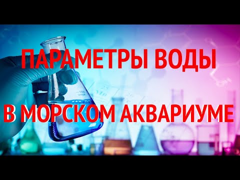 Видео: Морской Рифовый Аквариум - Параметры воды