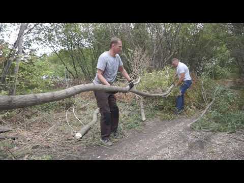 Видео: 180 ДИАМЕТР ВЕТОК! Самый мощный измельчитель веток SHKIV Сrusher of branches TN-180BK3L PRO