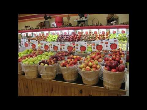 Видео: Способи зберігання яблук взимку - як зберегти яблука аж до нового сезону?