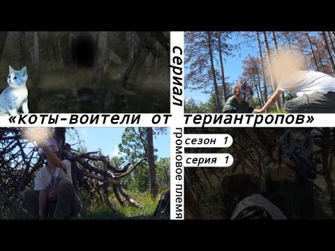 Видео: « коты воители от териантропов » 1 сезон ,  1 серия ,  « громовое племя » — наше ау !