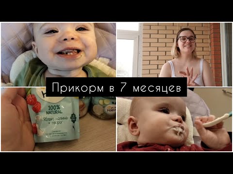 Видео: Прикорм в 7-8 месяцев// Наша история, меню, сложности