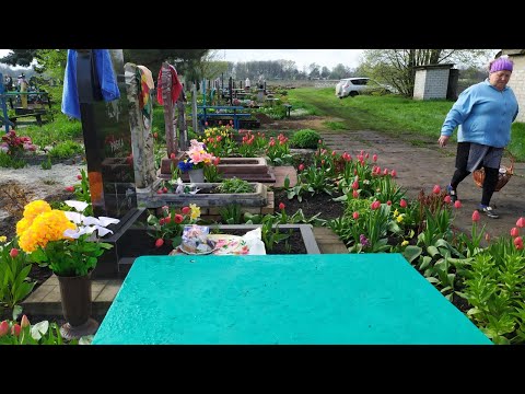 Видео: Что несём на КЛАДБИЩЕ / Родительский день /