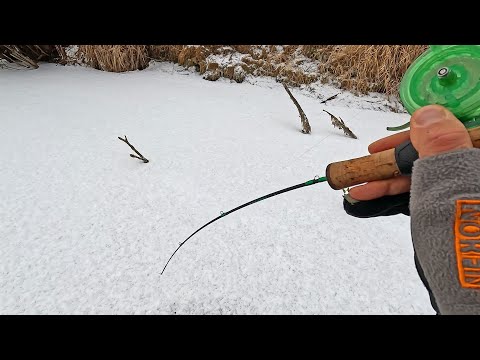 Видео: Первый лёд ВСТАЛ ЗАНОВО! На ПРОСТУЮ БЛЕСНУ из коряг.. Щука, Окунь! Зимняя рыбалка