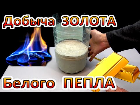 Видео: Добываю ЗОЛОТО ПЕПЛА белого! Это РЕАЛЬНАЯ ПРОСТАЯ ТЕХНОлогия!