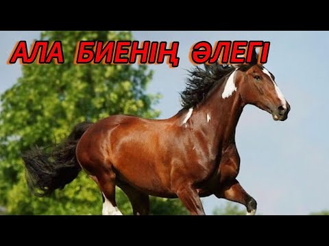 Видео: Ала биенің жоғалуы