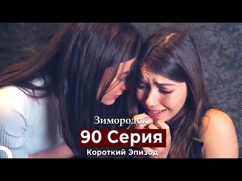 Видео: Зимородок 90 Cерия (Короткий Эпизод) (Русский дубляж)
