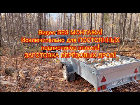 Видео: Заготовка березовых дров на Ниве Легенде! БЕЗ МОНТАЖА!!!