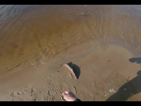 Видео: Супер рыбалка на резинку. ( часть 3 )
