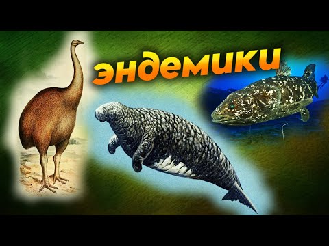 Видео: Эндемики. Вымершие животные и живые ископаемые. Стеллерова корова, чудо-рыба целакант, птица моа
