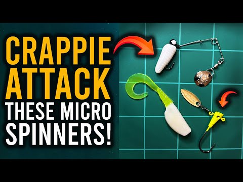 Видео: СВЕРХЛЕГКАЯ РЫБАЛКА НА КРАППИ! (ЛЕГКО И ВЕСЕЛО!)