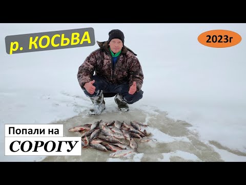 Видео: Река Косьва. За сорогой. 04.03.23г.