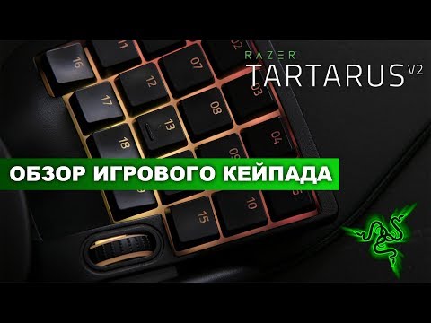 Видео: Razer Tartarus V2 Gaming Keypad Обзор. Тестирование кейпада на удобство в использовании