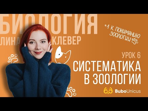 Видео: Систематика в зоологии | БИОЛОГИЯ ЕГЭ | Лина Клевер