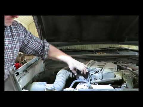 Видео: Замена свечей,Toyota Land Cruzer Prado V6,кошка Анфиска помогает.
