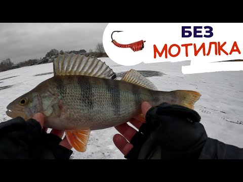 Видео: ОКУНЬ на БЕЗМОТИЛКУ з криги 2023. Ловимо окунів та білу рибу з льду