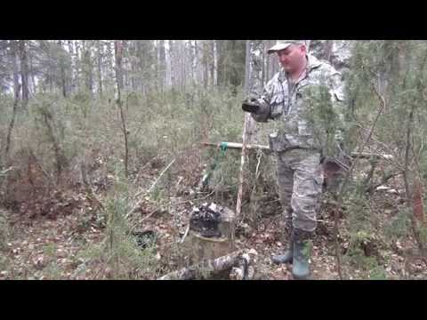 Видео: Костер на пеньке, без использования ножа и топора.