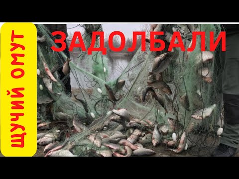 Видео: НЕТ СЛОВ БРАКОНЬЕРЫ КАК БОРОТЬСЯ С СЕТЯМИ