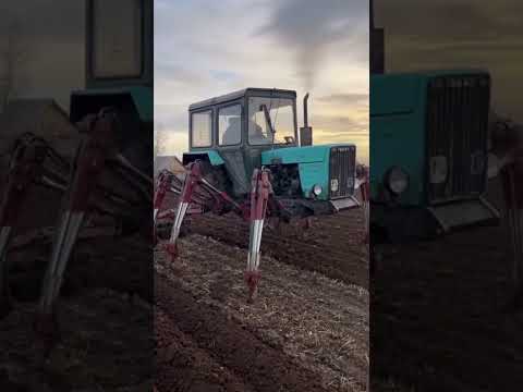 Видео: Дед собрал новый трактор