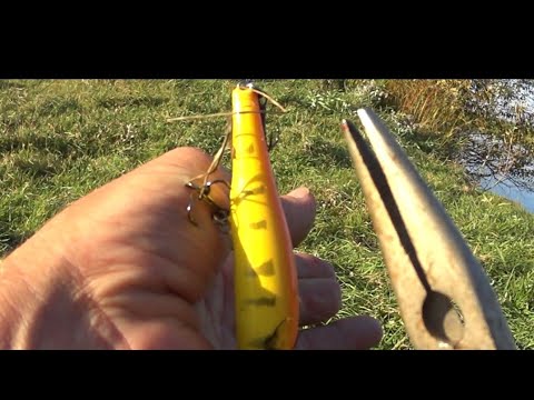 Видео: Дорогая цена для консервы.