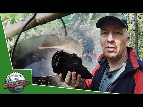 Видео: ЧАГА БЕРЕЗОВАЯ.  КАК ЗАВАРИВАТЬ ЧАГУ?  ЧАГА БЕРЕЗОВАЯ - ПОЛЬЗА ДЛЯ ЗДОРОВЬЯ. БЕРЕЗОВЫЙ ГРИБ.