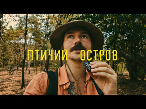 Видео: Птичий остров