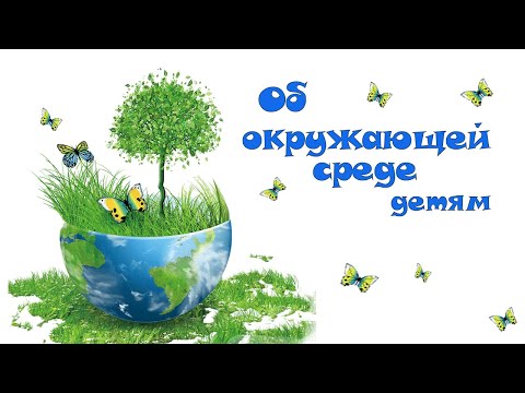 Видео: Об окружающей среде детям. Надо беречь природу!