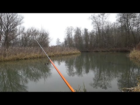 Видео: РЫБАЛКА НА ВОБЛЕРЫ ЗИМОЙ. НЕ УВЕРЕН, СИДИ ДОМА