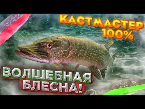 Видео: ВОЛШЕБНАЯ БЛЕСНА! Щука на Kastmaster (Кастмастер)! Рыбалка на Спиннинг с подводной камерой!