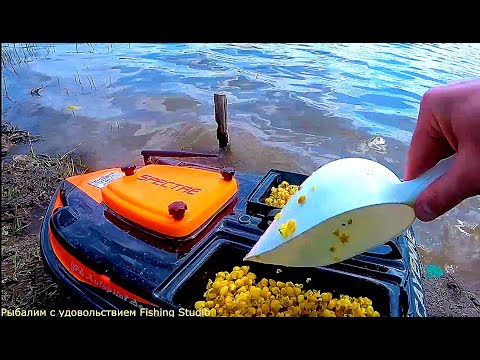 Видео: Тестируем ферментированную кукурузу по холодной воде. Рыбалка с карповым корабликом.